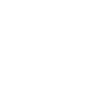 Duct Gecko Logo